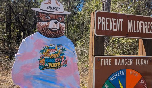 smokey-the-bear-with-peace-love-vans-shirt